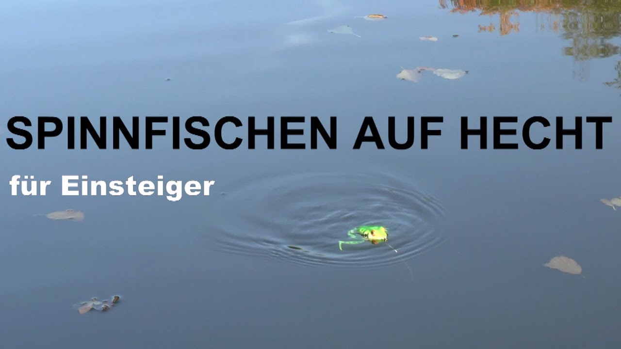 Ran an den Hecht! Spinnfischen auf Hecht f&uuml;r Einsteiger