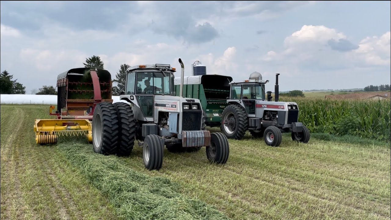 Making beautiful hay silage for the cows! (More problems)