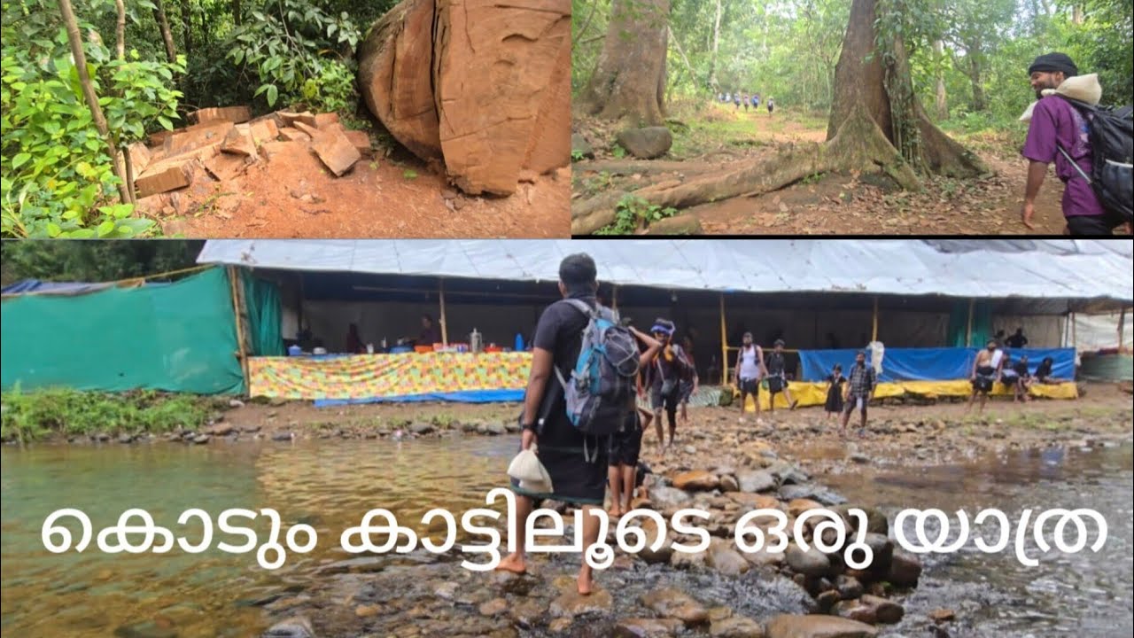 കാനനപാത ശബരിമല യാത്ര part2‼️‼️ #sabarimala #ayyappa #trucking #periyartigerreserve #forest 