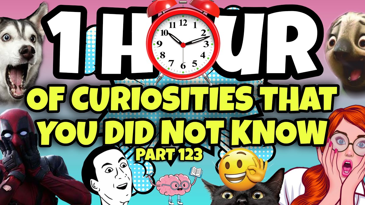 1 HOUR OF CURIOSITIES AND THINGS YOU DIDN’T KNOW 🧠⏰ #123