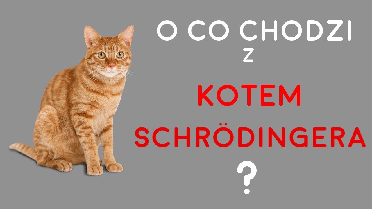 O Co Chodzi z Kotem Schr&ouml;dingera?