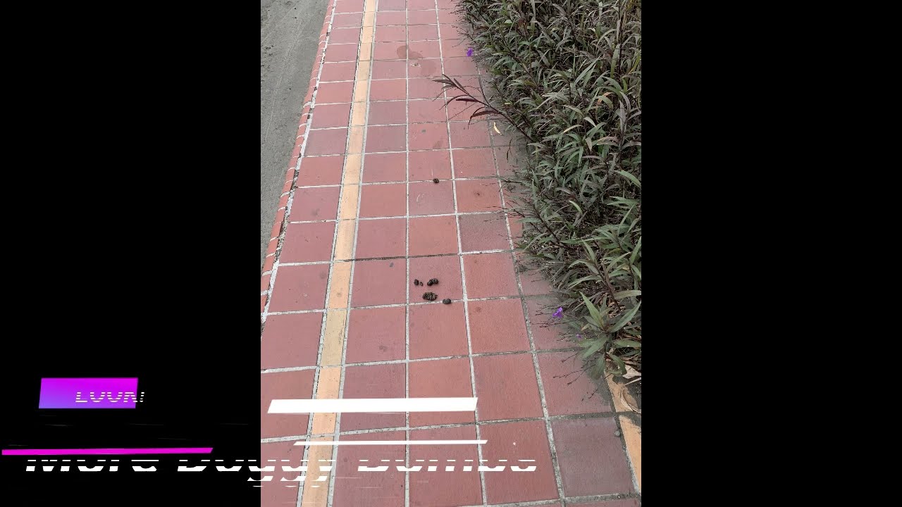 Navigating the Perilous Sidewalks of Manta, Ecuador: A Walk on the Wild Side