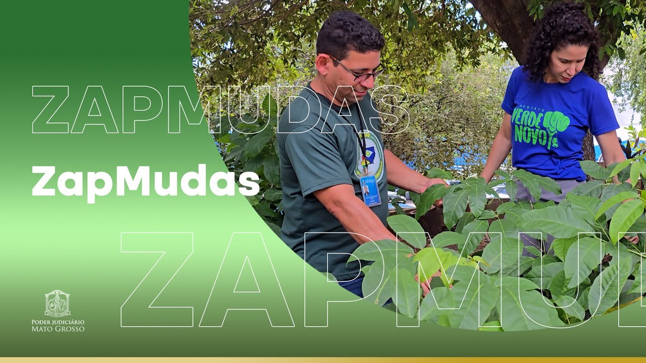 Programa Verde Novo divulga o novo número do ZapMudas