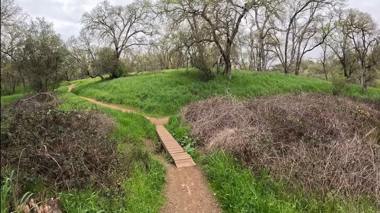 Oak Tree Pond Loop Trail