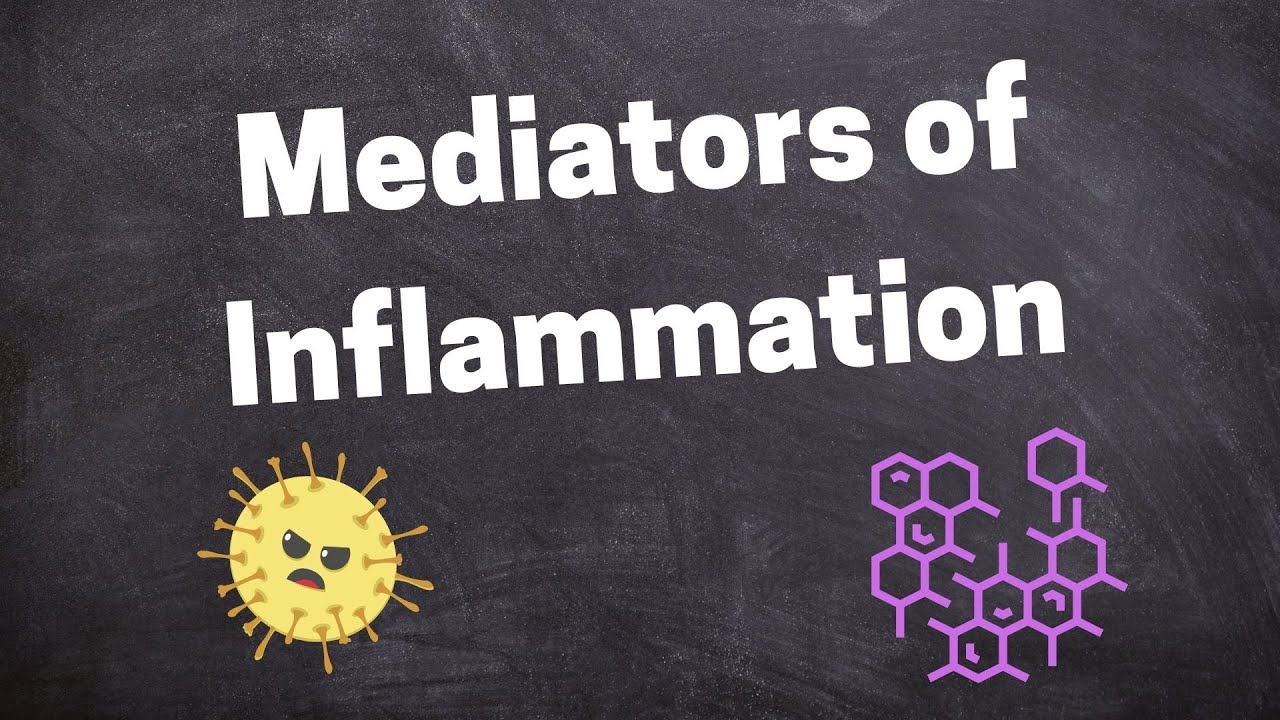 Chemical Mediators of Inflammation
