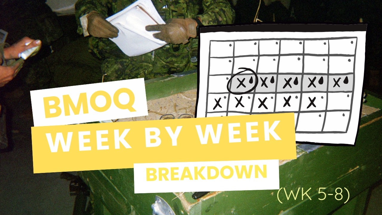 A Week-by-Week Breakdown of BMOQ (Week 5-8)