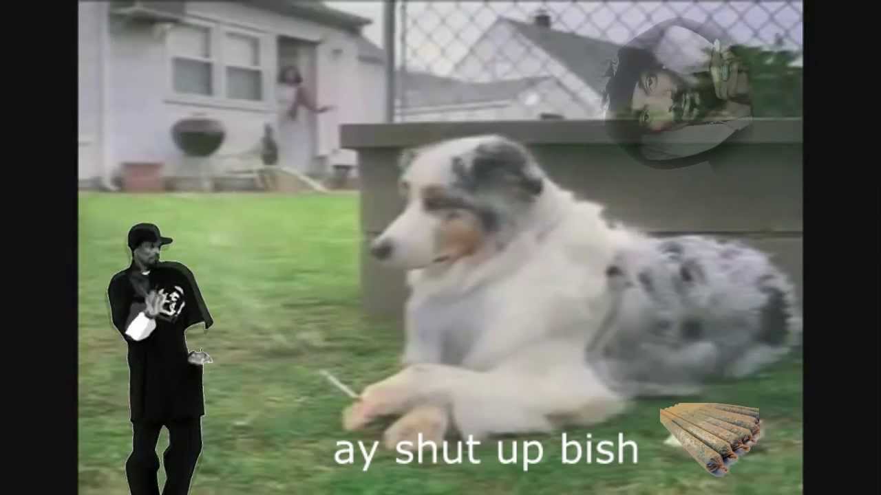 smoke doge 420