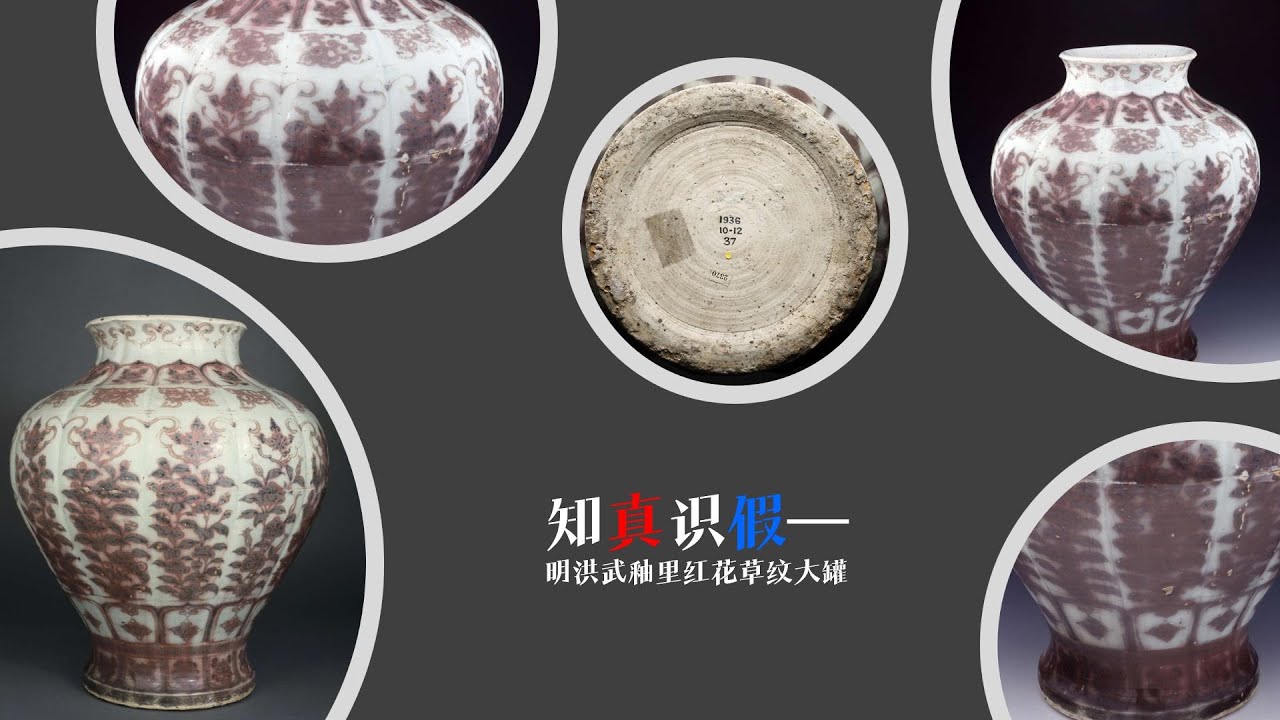 知真识假  明洪武釉里红花草纹大罐