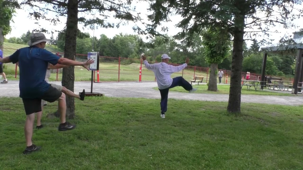 Le Serpent dans l'herbe. Tai Chi 24 Form Canada Français
