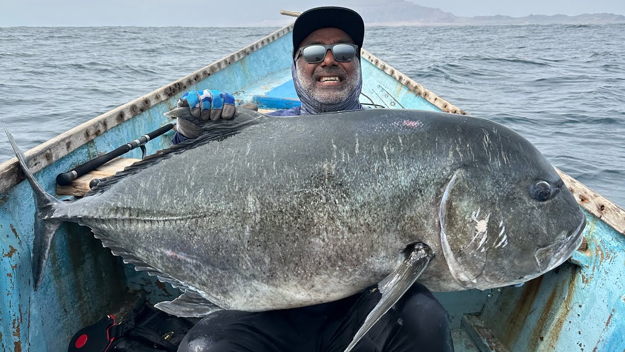 Monster 60+ KG 160 CM GT Landed at Socotra Island #gtfishing #socotra #socotraisland #gianttrevally