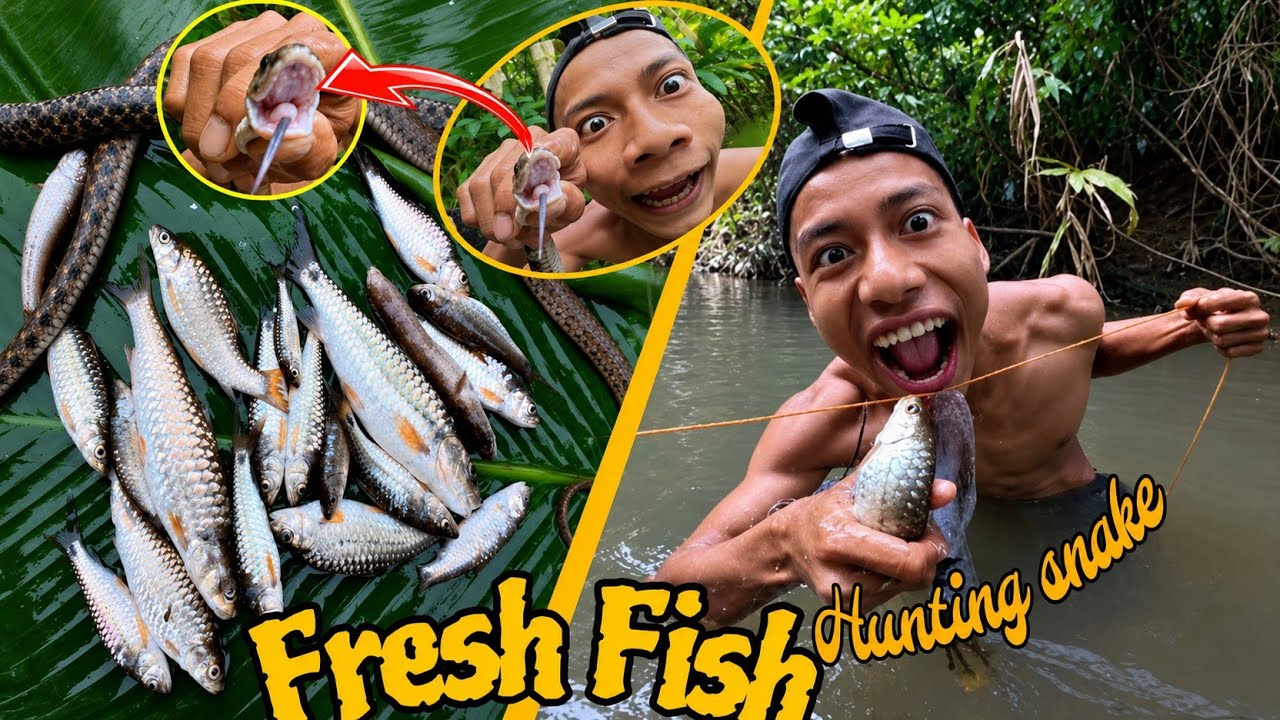  Fishing kiya Gains River Fresh Fish 🐟 and Hunting 2 Snake 
