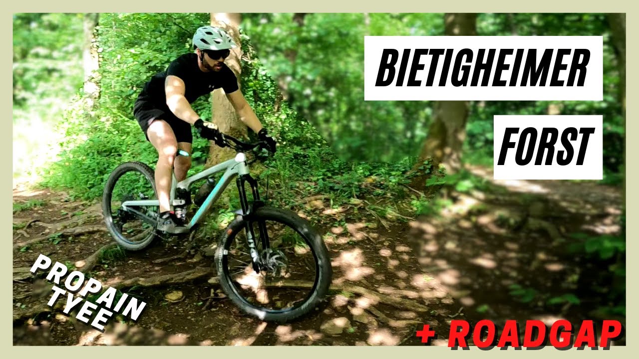 ROADGAP im Wald entdeckt | Bietigheimer Forst mit dem Propain Tyee | Aaron Joos