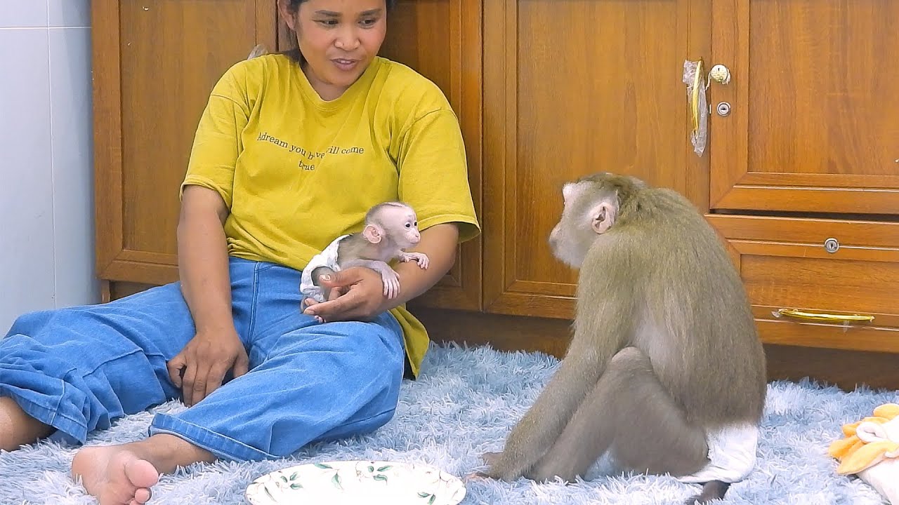 Cute Baby Luka Funny Conversation With Mommy Luna