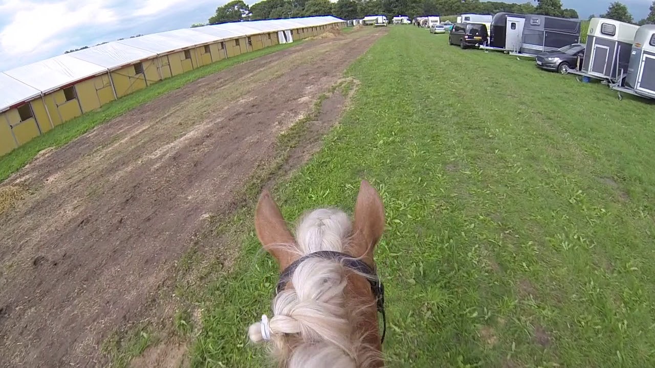 Standing Ovation gelanderitt A* tijdens IHC Steinhagen(DUI) 2017