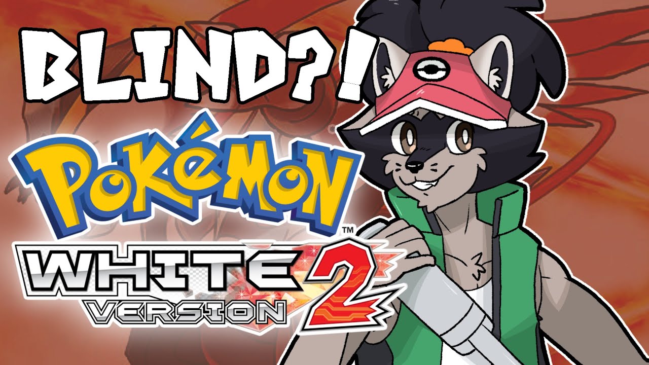 🦝 BRAND NEW ADVENTURE! | Mokastream 2.8.26
