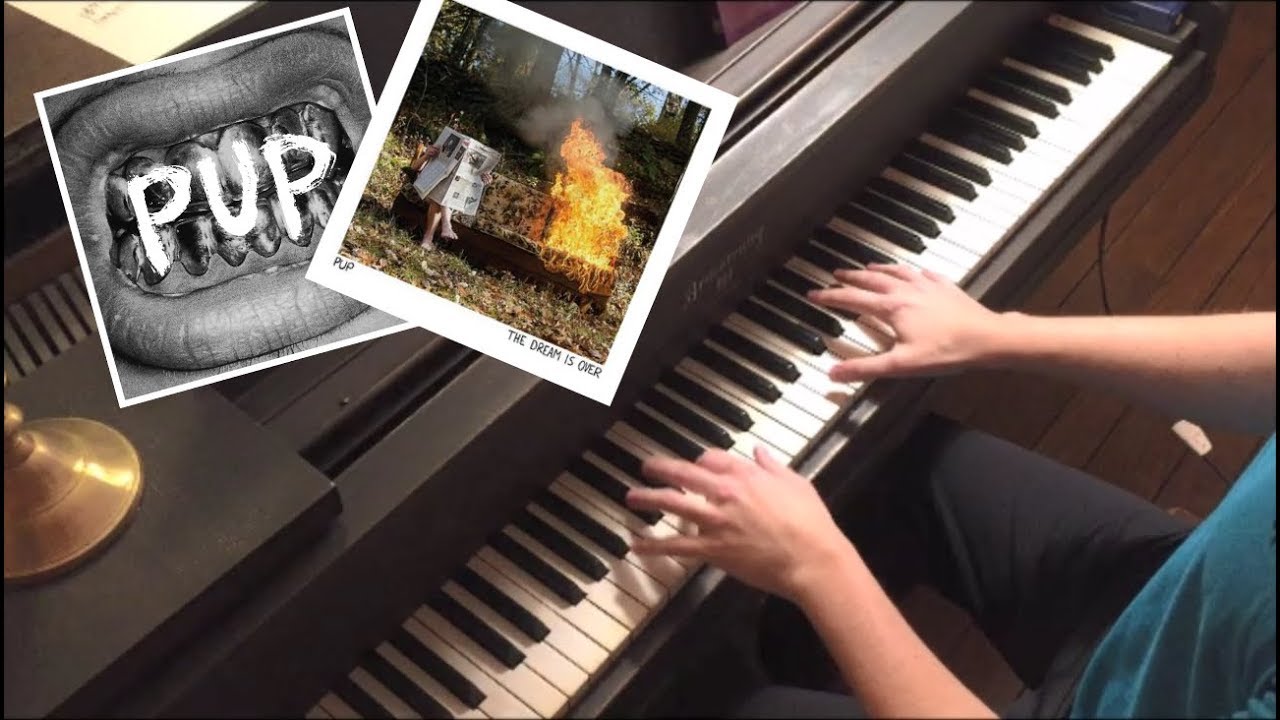 Playing 2 PUP Albums in 2.5 Minutes