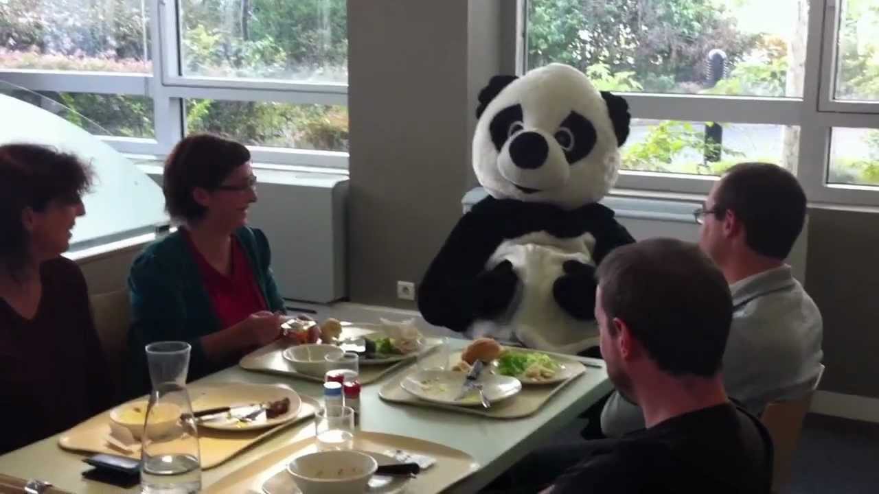 PANDI PANDA