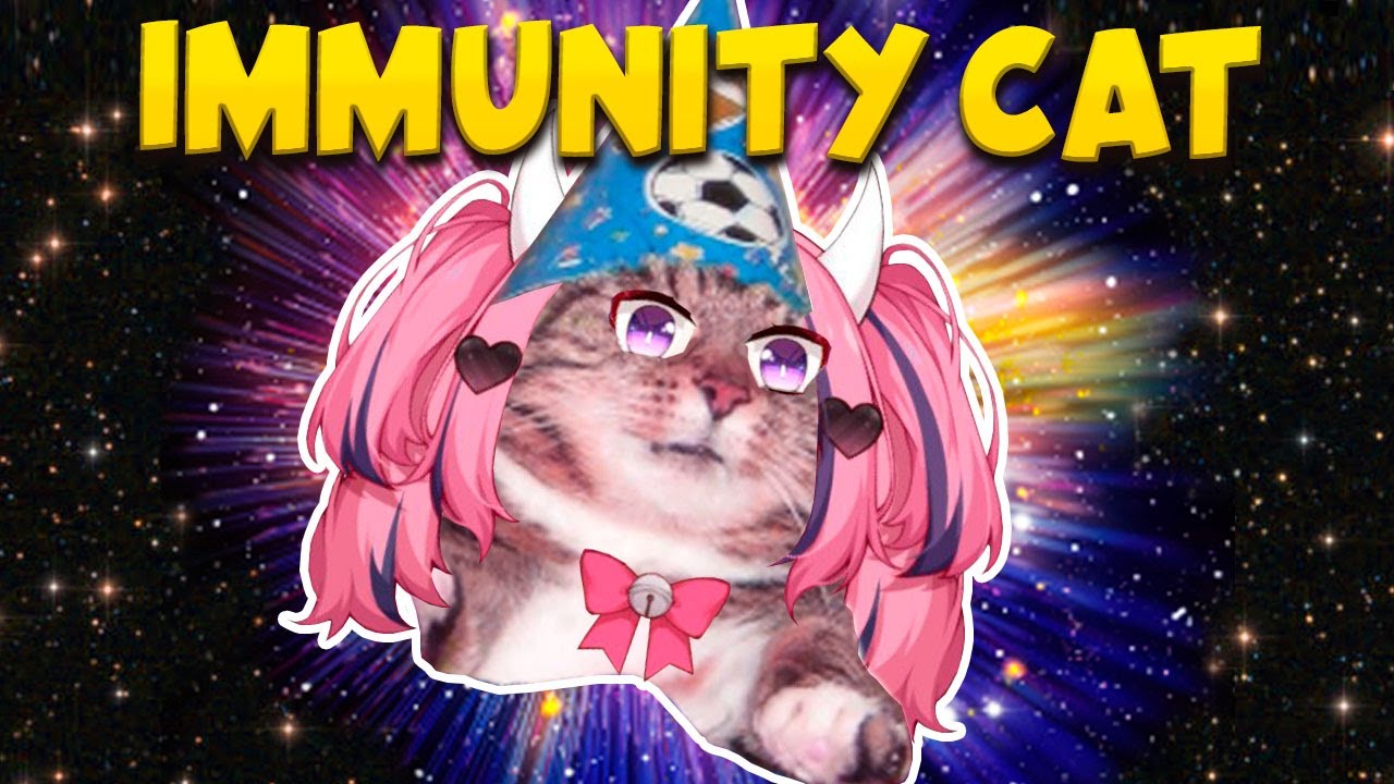 Tungsten Cat Will Protect You!! | Best of Ironmouse #18