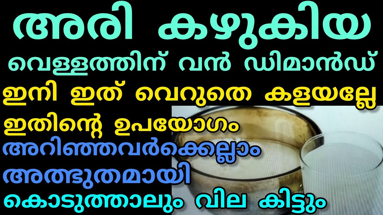 അരി കഴുകിയ വെള്ളത്തിനും ഡിമാൻഡ് | Manojnediyackal rubber tapping 