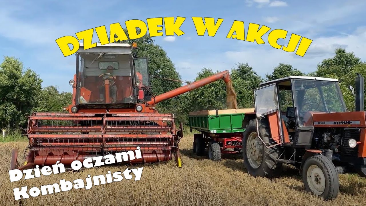 Dzień oczami kombajnisty | Poległe zboże | Z kamerą na głowie | Żniwa 2021 | Bizon Z056 | POV