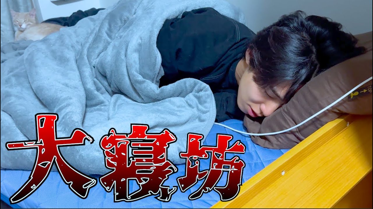 猫を2匹拾ってから寝不足で倒れてしまいました…😂