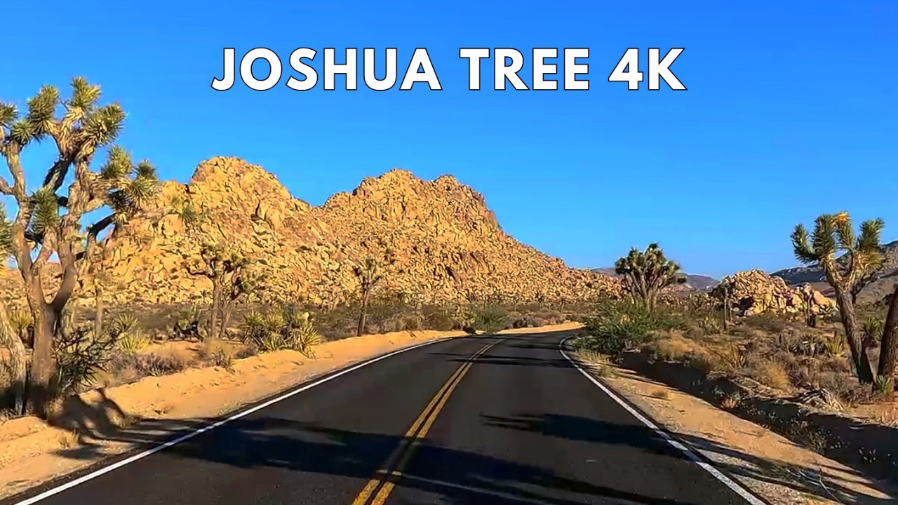 Joshua Tree National Park 4K Scenic Drive | California Drive Through