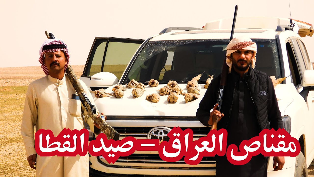مقناص العراق - صيد القطا وكشتة في بادية السماوه