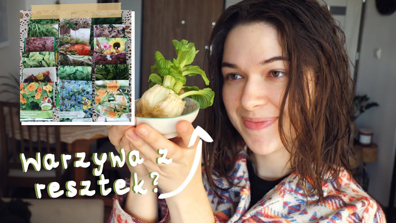 Rośliny, bazarek i plany | Vlog z życia zerowastera | Rejestruje
