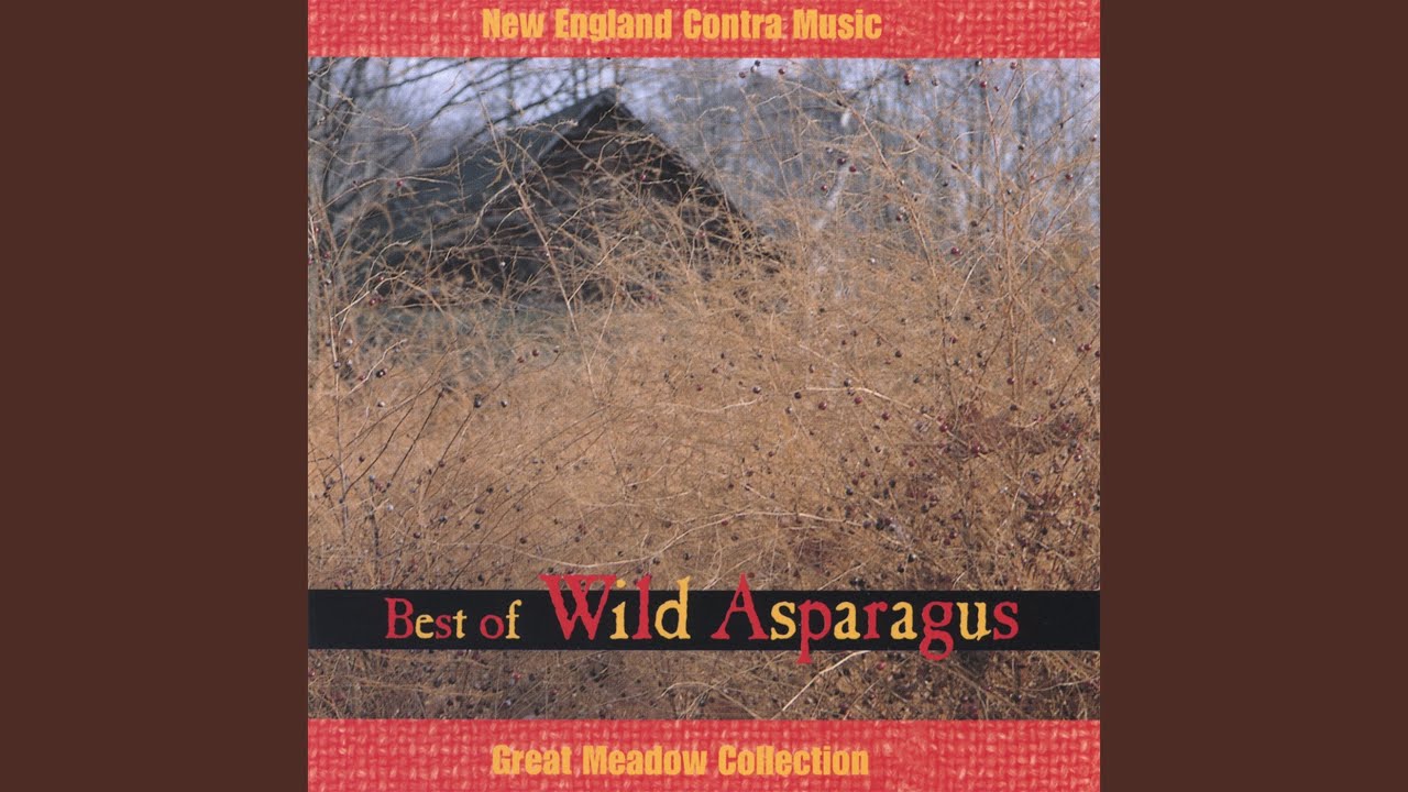 Mooncoin Jig/ Whelan's