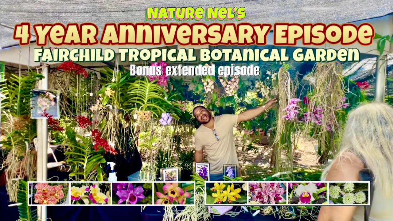 Fairchild Tropical Botanical Garden “Orchids In Bloom” Festival. Celebrating 4 years of Nature Nel!