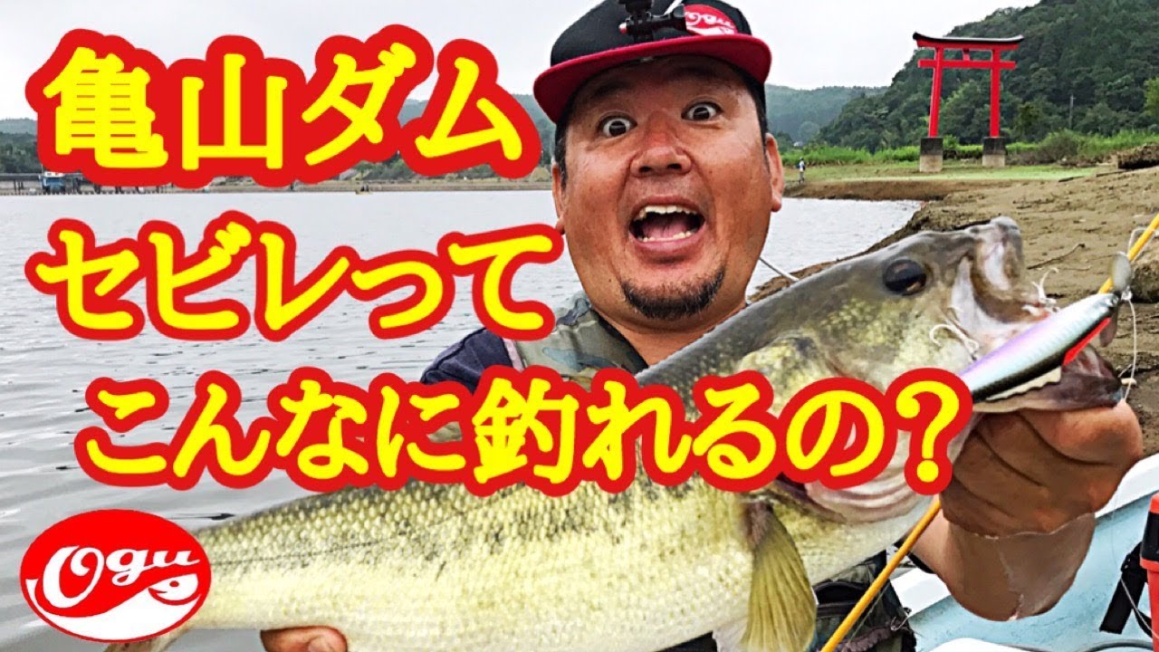 【亀山ダム】【セビレ】トップウォーターでこんなに釣れるの？ バス釣り ラインスラック topwater bass fishing