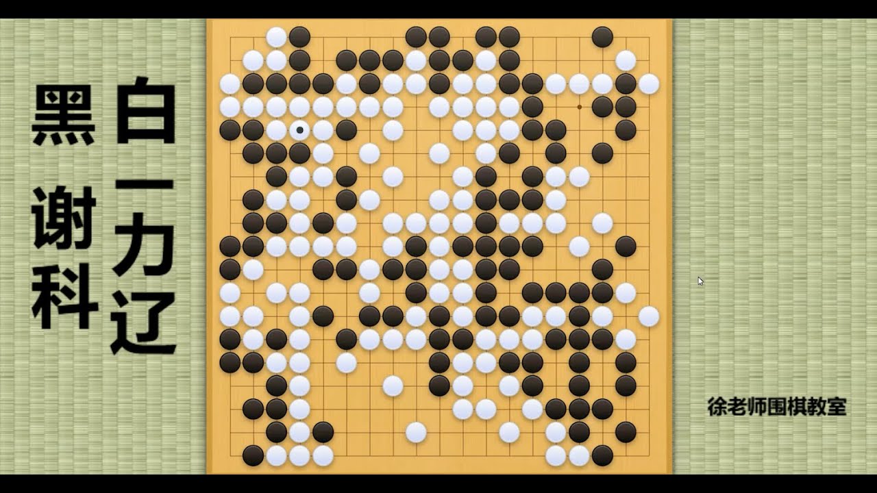 2024/8/14最新应氏杯，谢科vs一力辽：谢科大优局面心态出问题，越保守越崩塌！