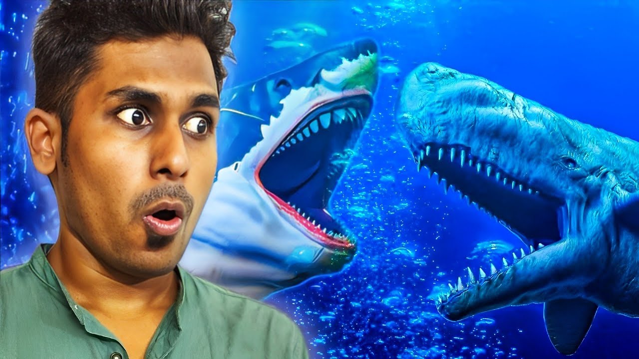 Giant Whale vs Killer Megalodon Shark from El Dorado😮😮