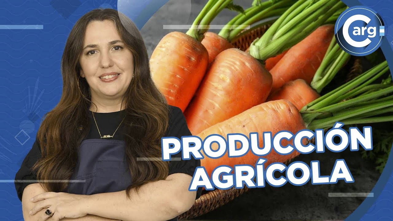 QUÉ ES LA PRODUCCIÓN AGRÍCOLA
