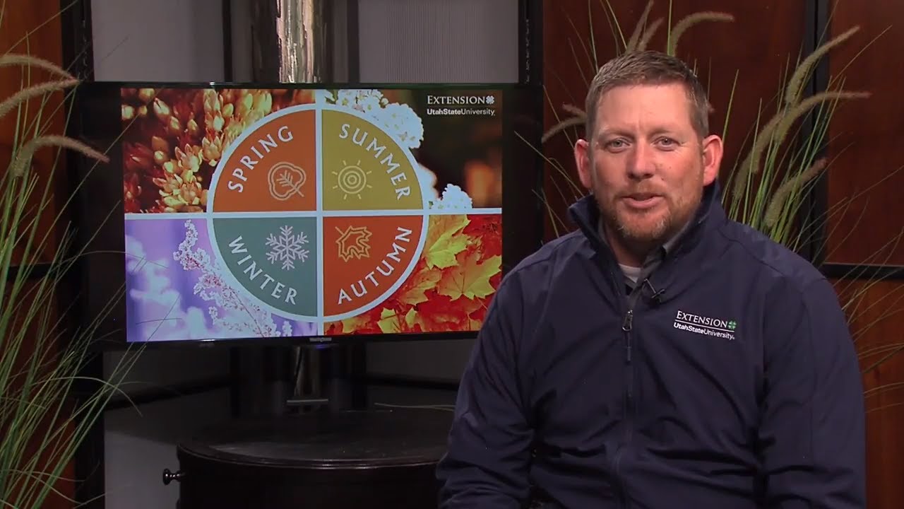 March Gardening Tips