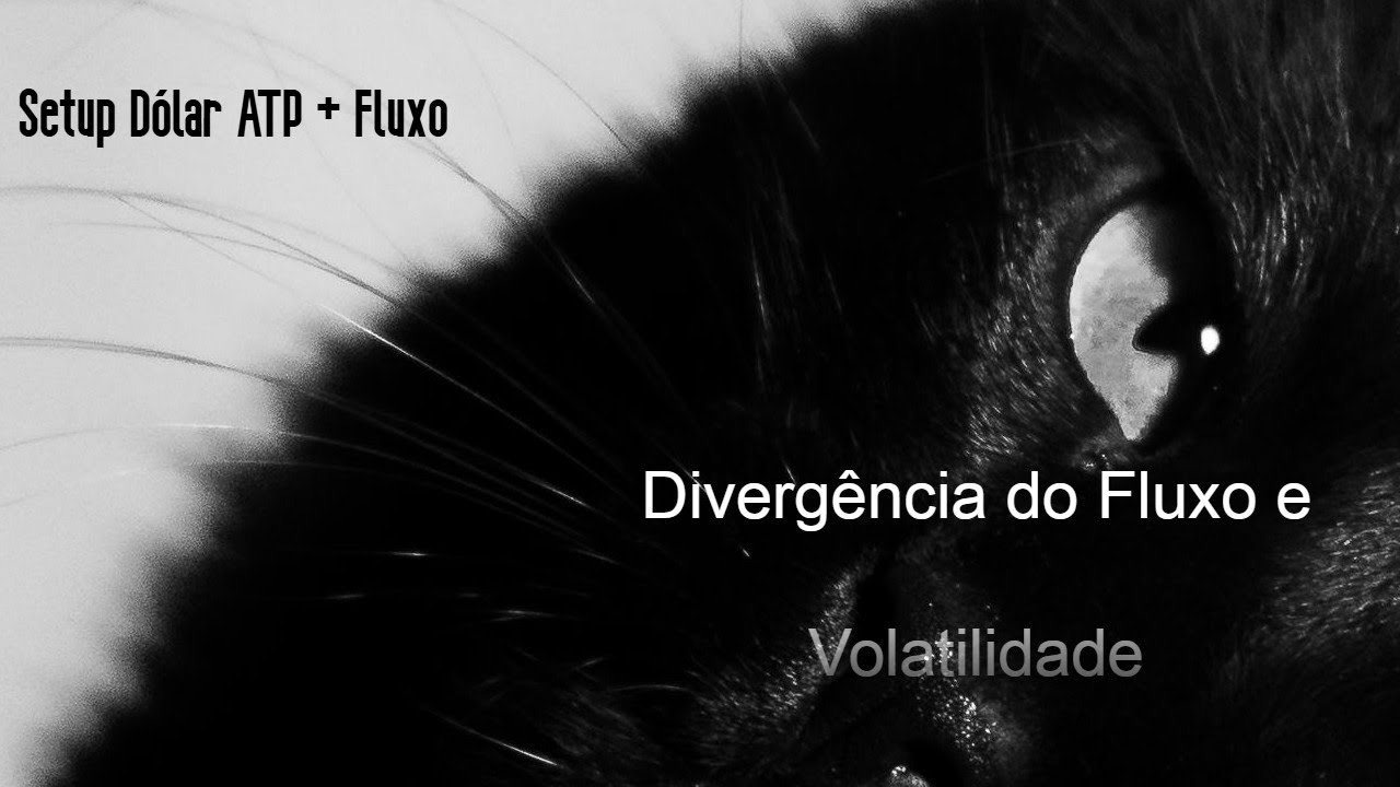 Setup Mini Dólar apoiado por fluxo.