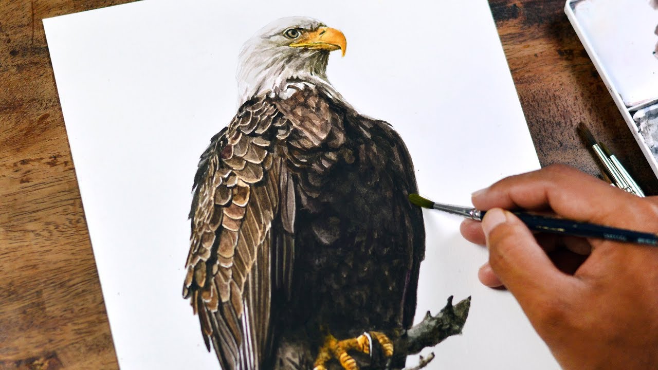 Painting Realistic Eagle in Watercolor