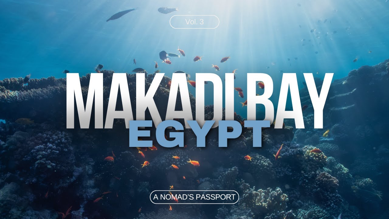 DIVING IN MAKADI BAY, Hurghada 🇪🇬 | Salem Express & Panorama Reef Trip + Makadi Bay Dive Sites