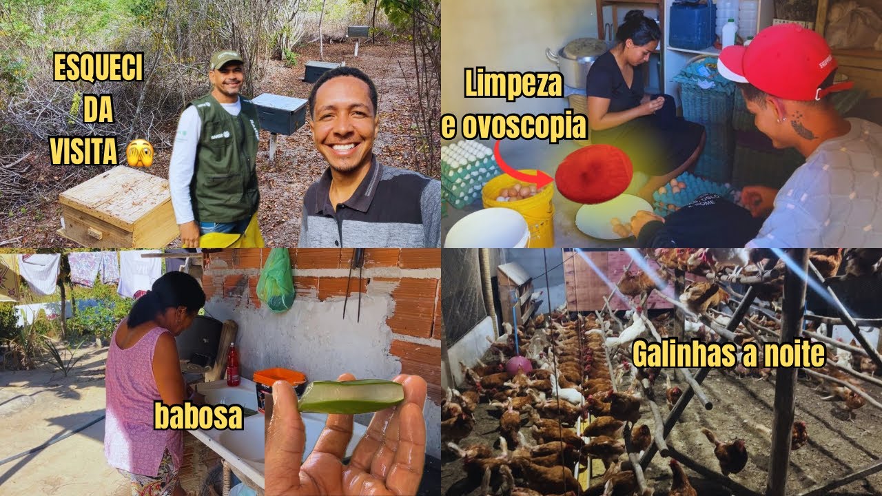 Como eu fui esquecer, tive que mudar os planos!