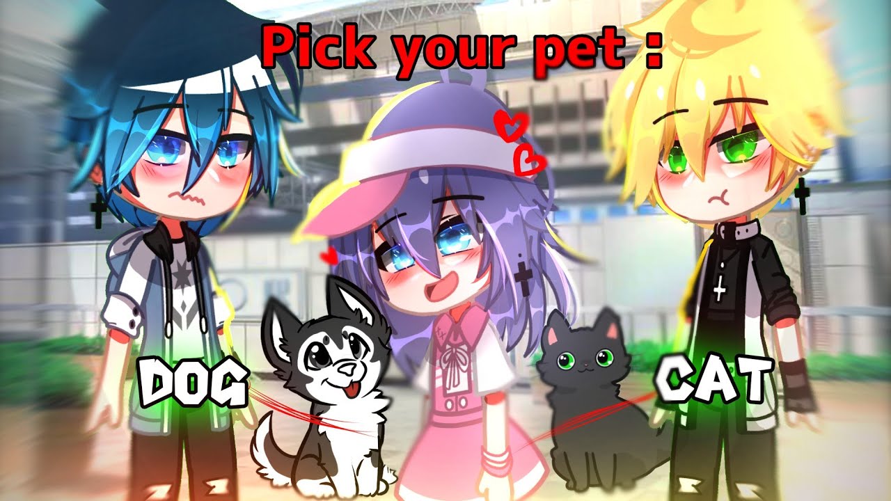 DOG or CAT?💖 || GACHA🐶🐱|| MEME🌈✨️|| MLB🔥|| { ORIGINAL} 💗🥀 part- 1