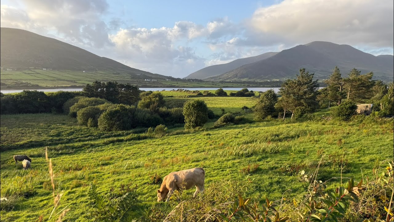 10 Days Walking The Kerry Way Ireland… in 16 Minutes