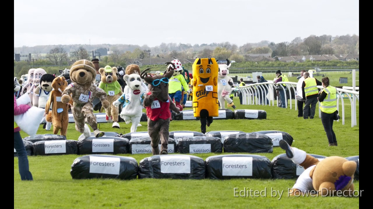 Sue Ryder Mascot Gold Cup Golden Highlights 2006-2019