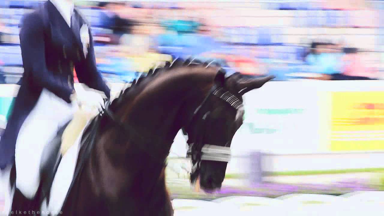 CHIO Aachen 29-6-2013