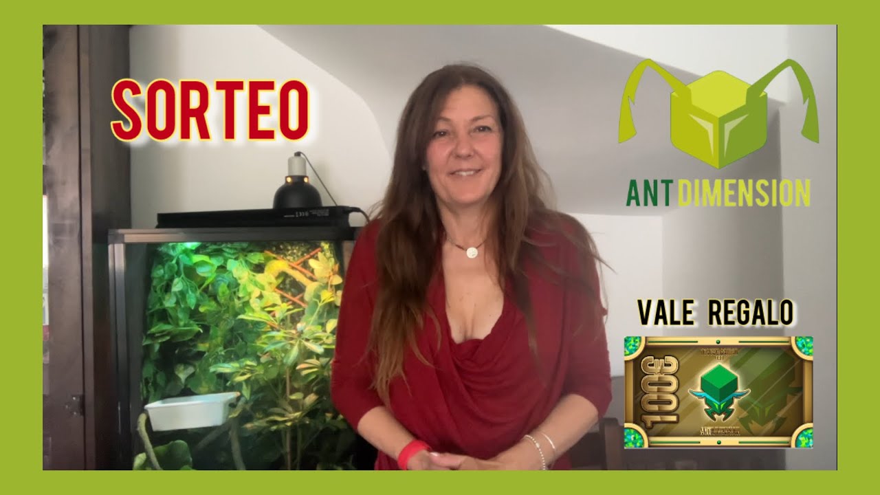Sorteo vale de regalo de 100€ y kit de inicio de la tienda ​⁠AntDimension 