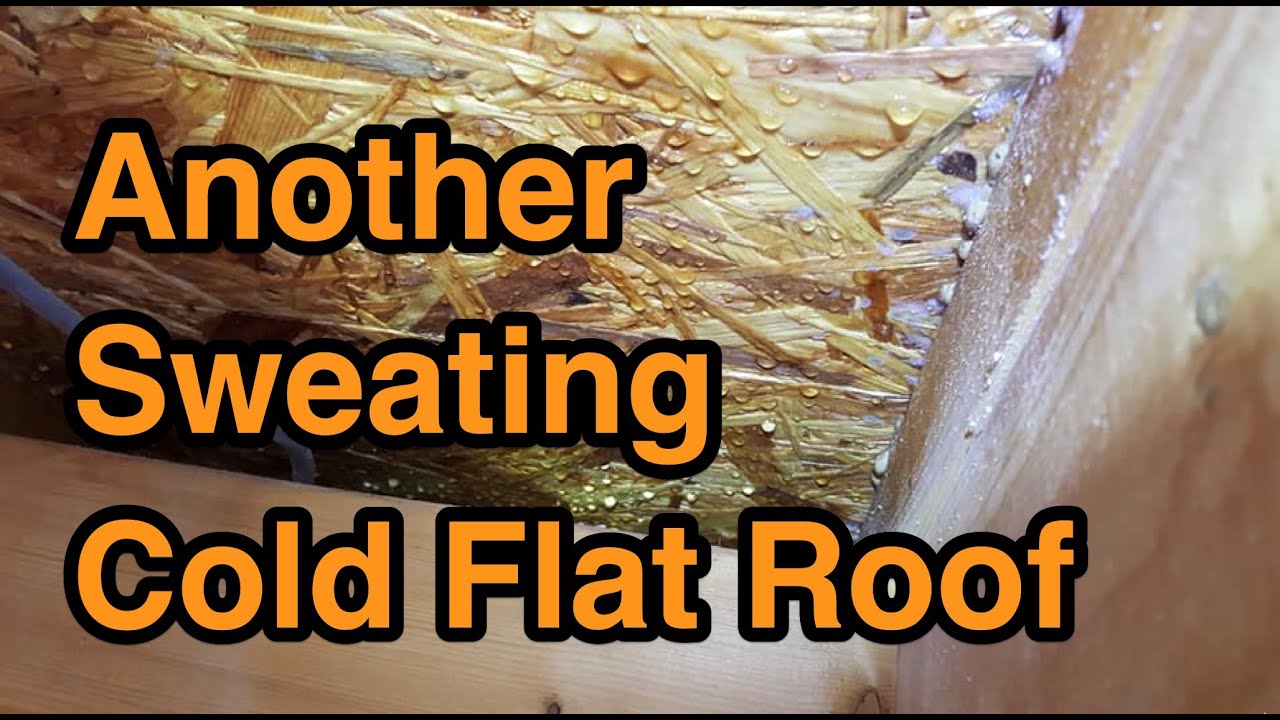 Sweating and mouldy New cold flat roof