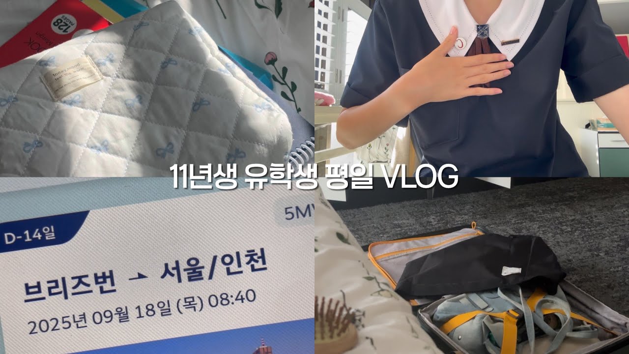 11년생 호주 유학 평일 브이로그ㅣ11년생 유학