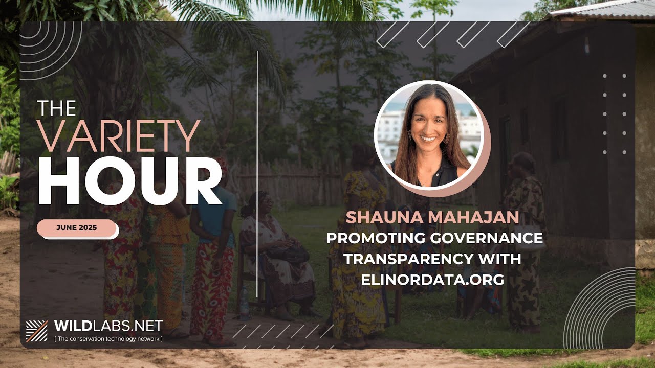 Shauna Mahajan: Promoting Governance Transparency with ElinorData.org