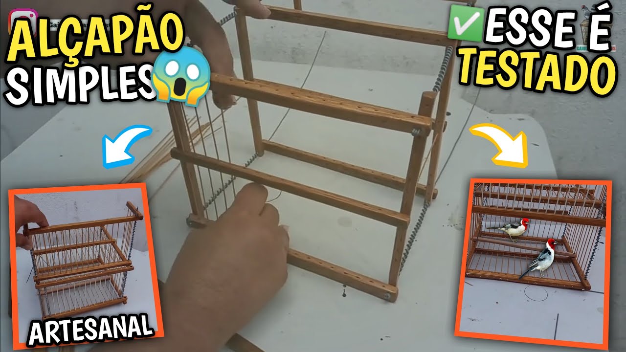 🌴 Como fazer ALÇAPÃO CASEIRO para pegar PASSARINHO | ARMADILHA para pegar PÁSSAROS!