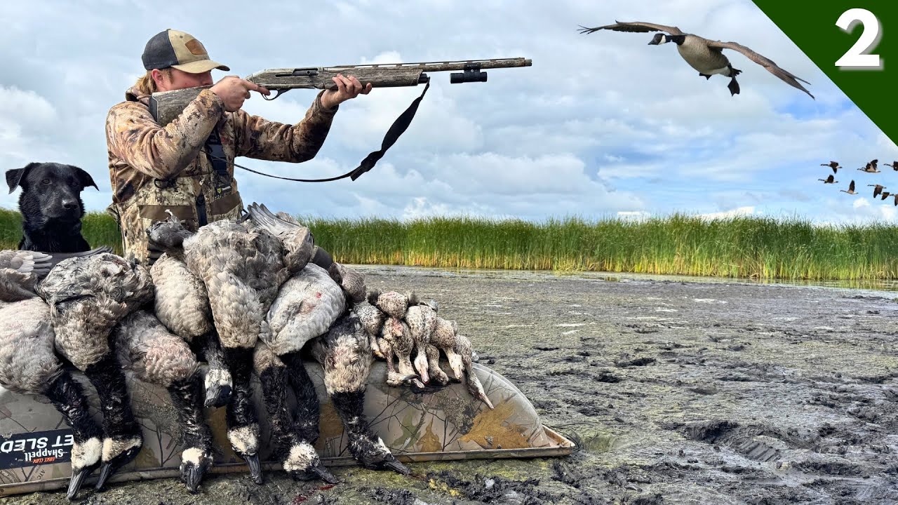 Decoying GEESE and TEAL In Tight! | Minnesota GOOSE HUNTING Opener