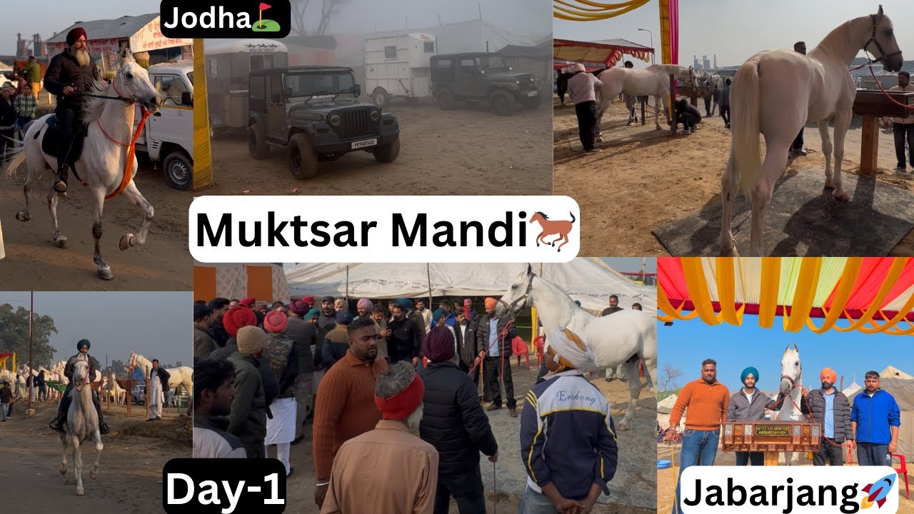 Muktsar Horse Mandi🐎Day-1//Jodha te Jabarjang Full sirrra💪